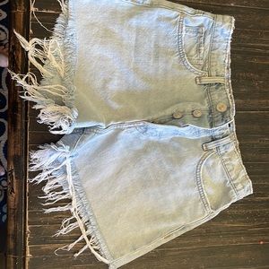 Hudson Demon Distressed Shorts